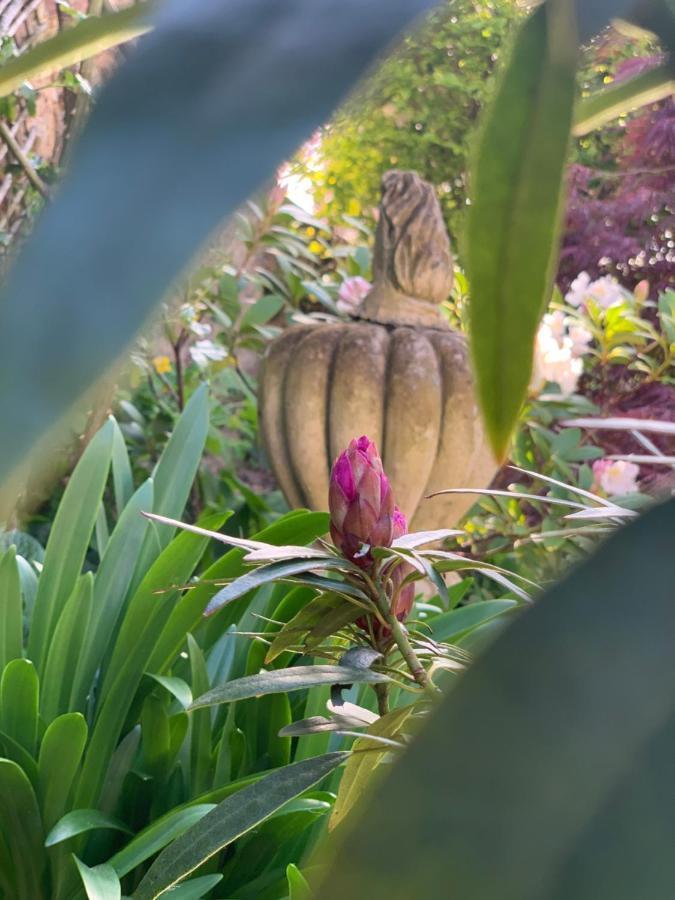 Cote Jardin Panzió Sainte-Suzanne  Kültér fotó
