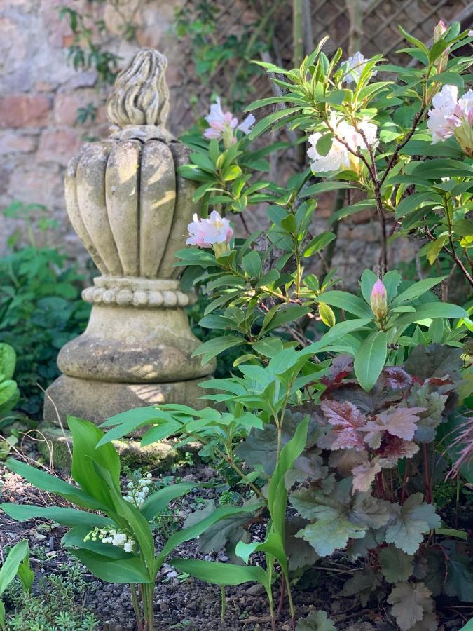 Cote Jardin Panzió Sainte-Suzanne  Kültér fotó
