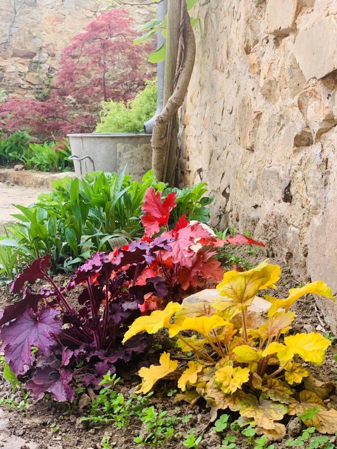 Cote Jardin Panzió Sainte-Suzanne  Kültér fotó