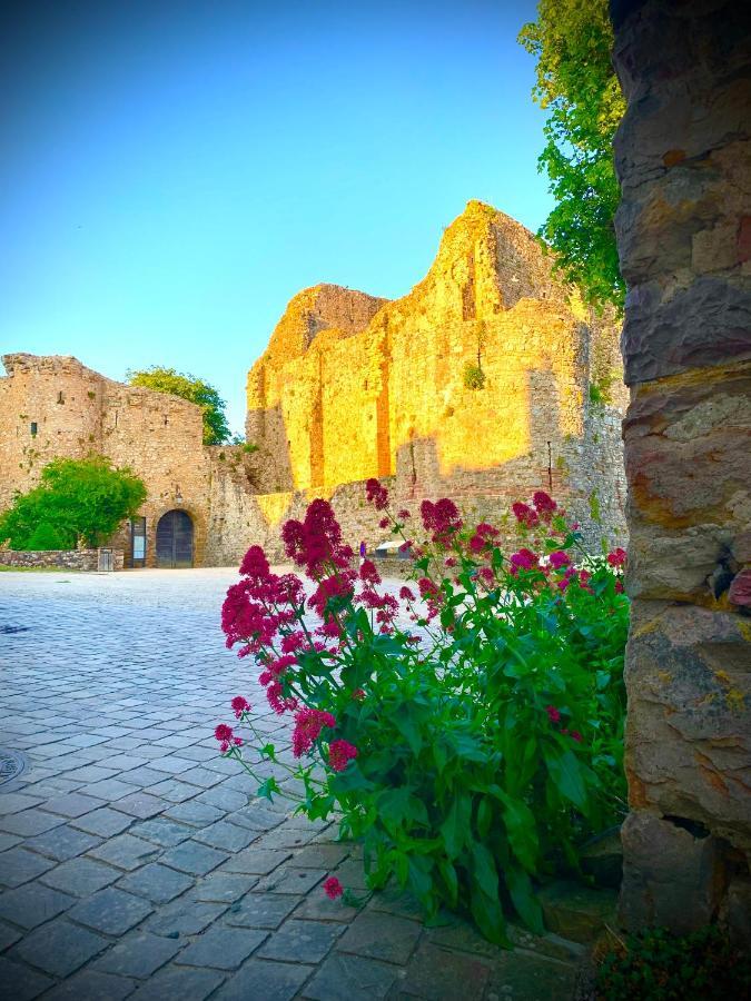 Cote Jardin Panzió Sainte-Suzanne  Kültér fotó